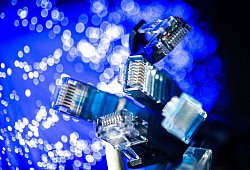 Netzwerkkabel (LAN-Kabel) liegen auf einem Tisch - Sina Schuldt/dpa/dpa-tmn