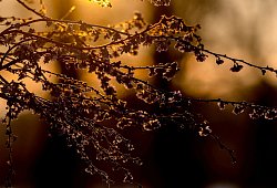 Wetter in Nordrhein-Westfalen - Rolf Vennenbernd/dpa