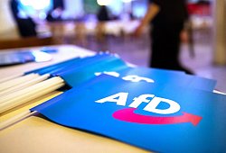 AfD - Daniel Karmann/dpa/Archiv
