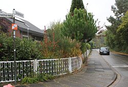 Altdorferstraße Waddenhausen - Lorraine Brinkmann
