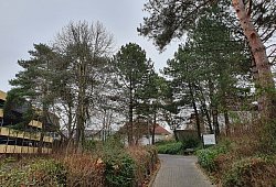 Initiative Baumrettung Detmold - Initiative Baumrettung Detmold