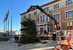 Weihnachtsbaum vor dem Abgeordnetenhaus aufgestellt - Stefan Kruse/-/dpa