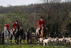 Boxing Day-Jagd in Gro&szlig;britannien - Jacob King/PA Wire/dpa