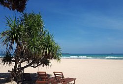 Ein Strand auf Sri Lanka - Nathalie Helene Rippich/dpa-tmn