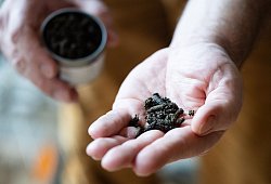 Mann h&auml;lt Schokoladenpfeffer in der Hand - Franziska Gabbert/dpa-tmn