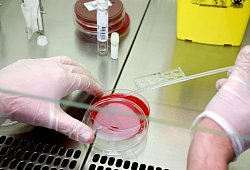 Pathologen fordern mehr Obduktionen von nach einer Corona-Infektion gestorbenen Menschen. - dpa