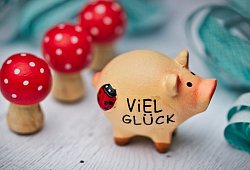 Glückschweinchen - Pixabay