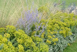 Gartengestaltung mit Stauden - Bettina Banse/GMH/dpa-tmn