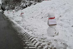 Parken Schnee - Sonja Hoffinger
