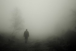 Nebel - Symbolbild Pixabay