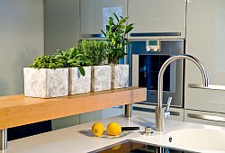 Kr&auml;uter stehen in einer K&uuml;che - GMH/dpa-tmn