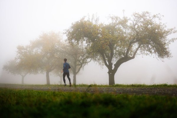 Gebietsweise gibt es Nebel. (Archivfoto) - © Jörg Halisch/dpa