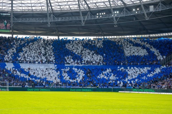 Viele Fans, wenig Geld: Schalke steht finanziell weiter vor großen Herausforderungen. - © David Inderlied/dpa