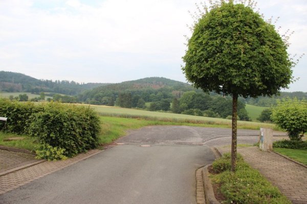 Am Ende der Wohnsiedlung "Saulsiek" ist von Baugebiet noch nichts in Sicht. Geht es nach der CDU und SPD, soll sich das schnell ändern. Im Betriebsausschuss wurde dem stattgegeben. - © Kirsten Fuhrmann