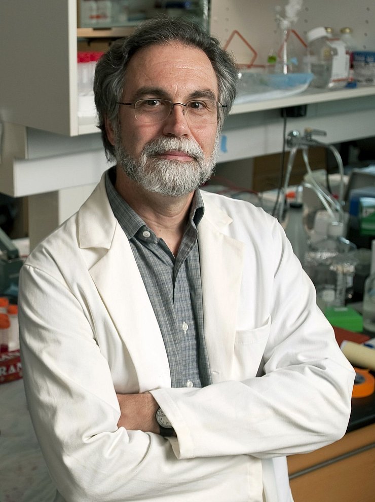 Gregg Semenza - © Foto: Will Kirk/Johns Hopkins University/AP/dpa