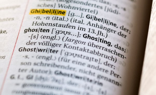 «Ghosting» - das Fernbleiben von Bewerbern am Ausbildungsplatz - wird für mehr Betriebe zum Problem (Symbolbild). - © Jens Kalaene/dpa