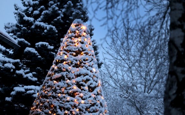 Weihnachten naht. (Symbolbild) - © Karl-Josef Hildenbrand/dpa