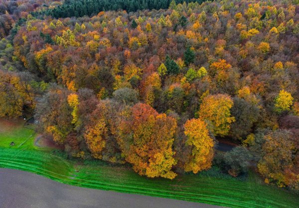 Die Bürger im Kreis Kleve haben dagegen gestimmt, dass es bei Ihnen in der Region einen zweiten Nationalpark in NRW geben soll. (Archivbild) - © Oliver Berg/dpa