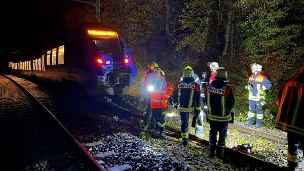 Bei dem Zusammenstoß mit einem Baum wurde kein Passagier des Zuges verletzt. - © Thorsten Kremers/dpa