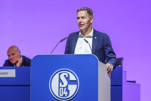 Schalkes Aufsichtsratsvorsitzender Axel Hefer spricht zu den Mitgliedern. - © Tim Rehbein/dpa