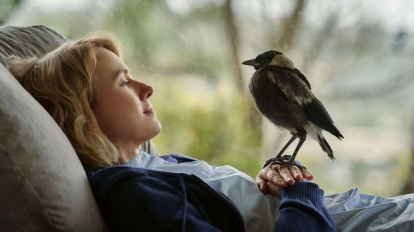 Penguin ist für die dreifache Mutter Sam (Naomi Watts) ein neues Familienmitglied. - © ARD Degeto/Leonine Studios/dpa