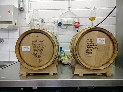 Muss reifen: In zwei Eichenf&auml;ssern lagert der frisch angesetzte Whisky f&uuml;r die n&auml;chsten drei Jahre. Die F&auml;sser stammen aus Destille in New York. - &copy; Yvonne Glandien