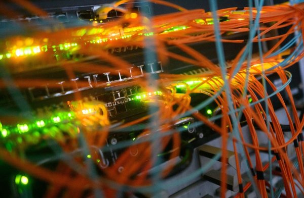 Die Plattform «Crimenetwork» galt laut BKA als größter deutschsprachiger Online-Marktplatz für illegale Waren und Dienstleistungen. (Symbolbild) - © Julian Stratenschulte/dpa