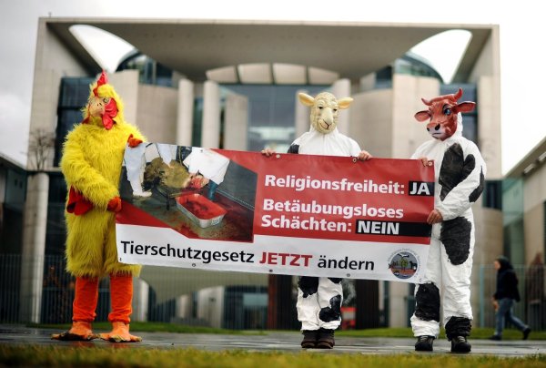 Protest gegen Schächten - © Foto: Michael Hanschke