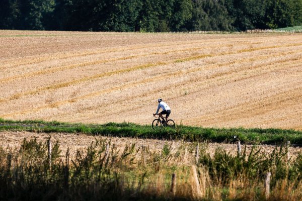 Freitag und Samstag eignen sich perfekt für spätsommerliche Ausflüge (Symbolbild) - © Thomas Banneyer/dpa