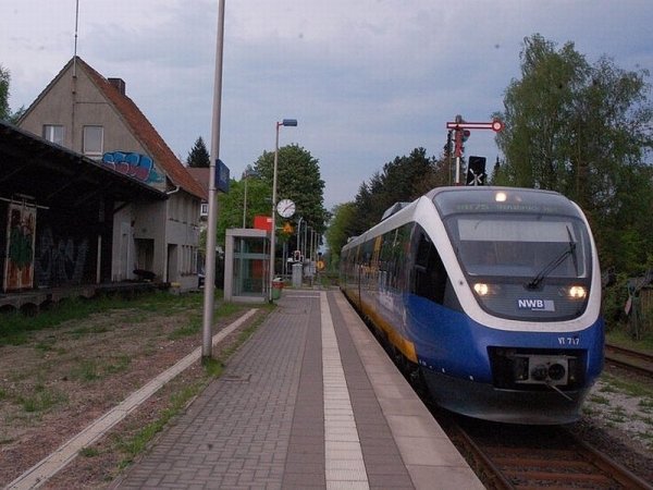 Der Haller Willem nach Osnabrück. - © FOTO: SOMMERKAMP