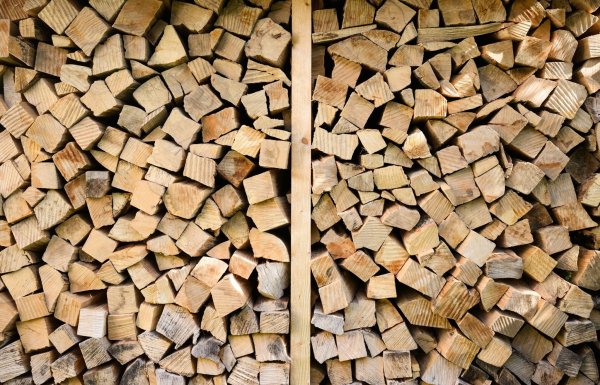 Mit Beginn der Heizsaison bieten Betrüger auch in Niedersachsen über sogenannte Fake Shops im Internet vermeintlich günstiges Brennholz, Holzpellets oder auch Kaminöfen an. - © Julian Stratenschulte/dpa