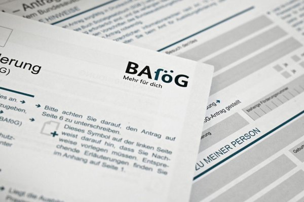 Durchschnittlich 635 Euro erhielten die Geförderten pro Monat im vergangenen Jahr. (Symbolbild) - © Elisa Schu/dpa
