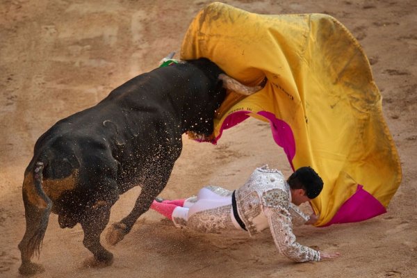 Stierkampf ist in Spanien ein geschütztes Kulturgut. (Archivbild) - © Miguel Oses/AP/dpa