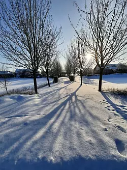 Der Driftenweg in Kirchheide pr&auml;sentiert sich als Winterparadies. - &copy; Till Brand