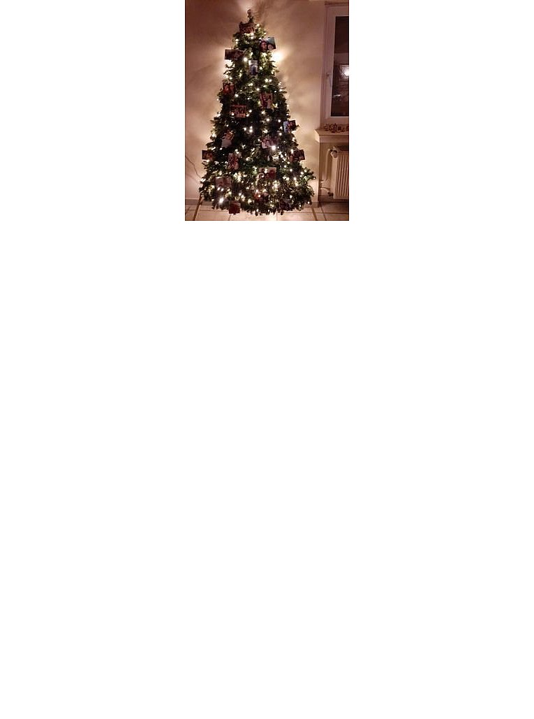Weihnachtsbäume in Lippe