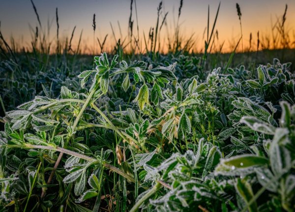 Frostiges Wetter in Brandenburg - © Patrick Pleul/dpa
