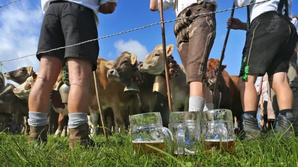 - &copy; Karl-Josef Hildenbrand/dpa