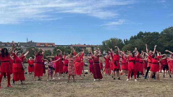 - &copy; Gregor Tholl/dpa-Zentralbild/dpa