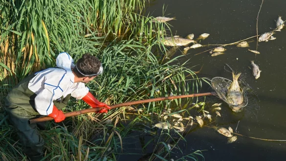 - &copy; Patrick Pleul/dpa