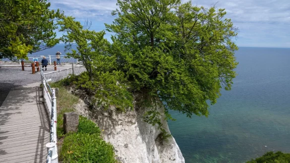 - © Stefan Sauer/dpa