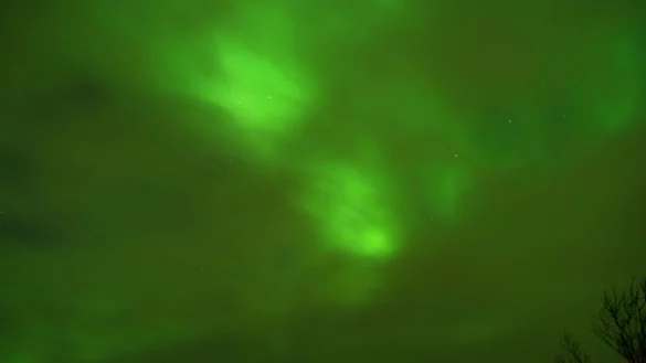 - &copy; Andrea Warnecke/dpa-tmn