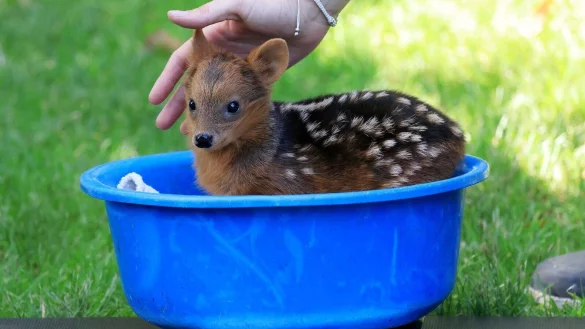 - &copy; Oliver Berg/dpa