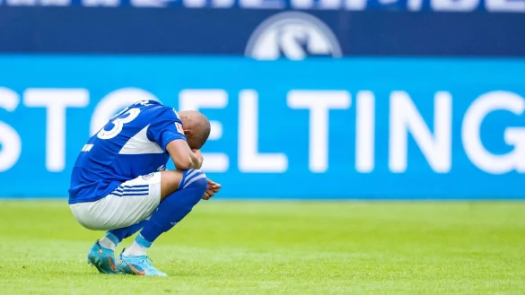 - &copy; David Inderlied/dpa