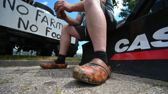 - &copy; Lars Klemmer/dpa