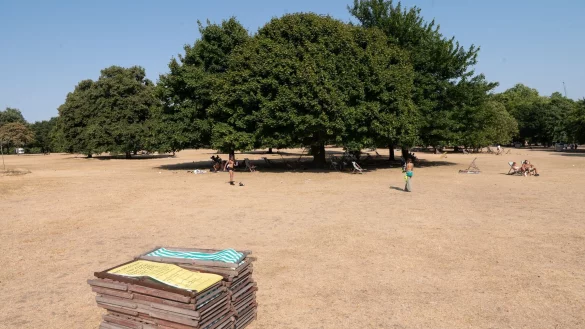 - &copy; Sebastian Gollnow/dpa