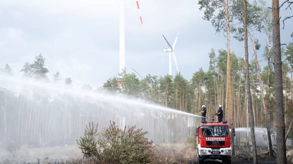 - &copy; Sebastian Kahnert/dpa