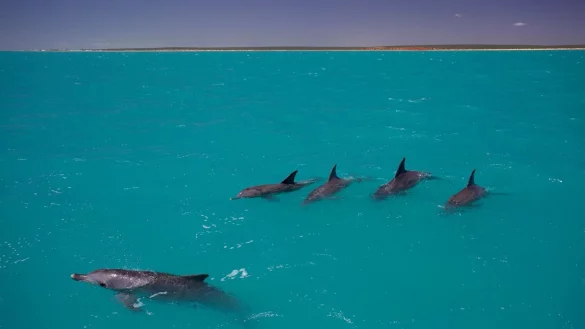 - &copy; Simon Allen/dpa