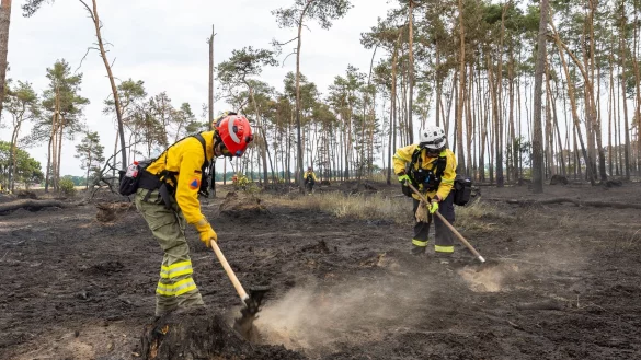 - &copy; Daniel Sch&auml;fer/dpa