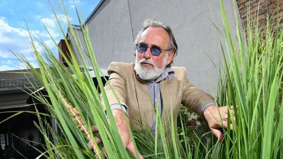 - © Jens Kalaene/dpa