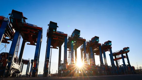 - © Christian Charisius/dpa